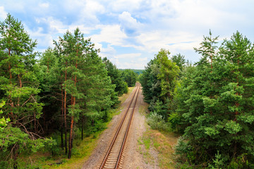 Aerial view of railroad track through a green pine forest