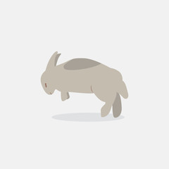 Rabbit, bunny - vector, easter illustration.