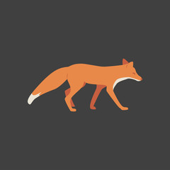 cute fox vector illustration. isolated.