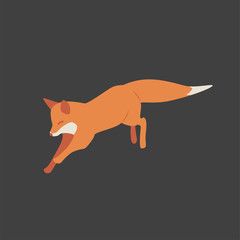 cute fox vector illustration. isolated.