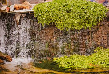 spring waterfall made of stone in an old building. green wall, stream.