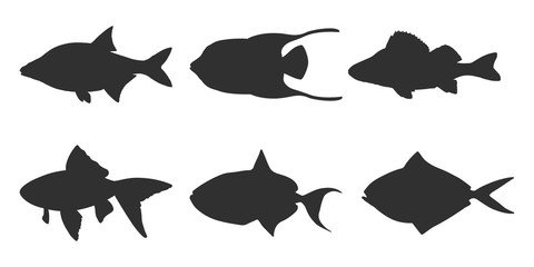 Vector silhouettes of isolated fish on a white background.