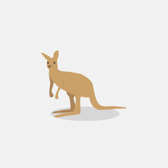 cute kangaroo in flat style on white background