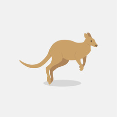 cute kangaroo in flat style on white background