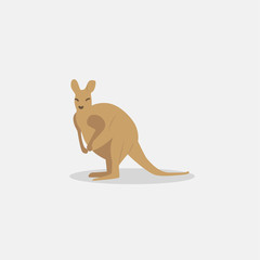 cute kangaroo in flat style on white background