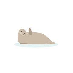 Cartoon walrus, seal. Cute walrus goose, Vector illustration on a white background. Drawing for children.