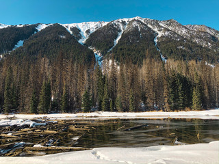 A view of snow covered Lillooet Lake with driftwoods floating on the surface