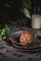 Chocolate cookies with milk on dark background