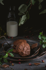 Chocolate cookies with milk on dark background