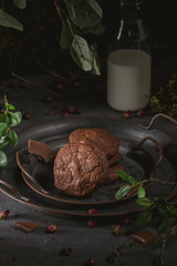 Chocolate cookies with milk on dark background