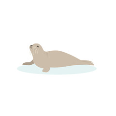 Cartoon walrus, seal. Cute walrus goose, Vector illustration on a white background. Drawing for children.