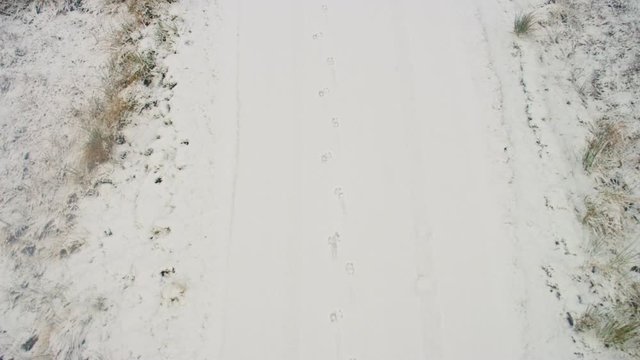 Animal footprints in snow drone
