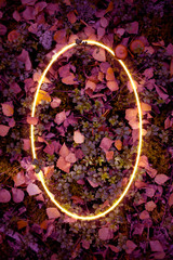 Сreative fluorescent autumn leaves layout. Neon light flat circle frame on leaves forest background in dark colors, copy space for poster, sale advertisement, banner, card, wedding invitation