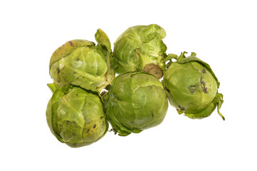 head of cabbage isolated on white background