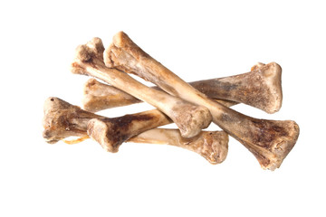 bone isolated on white background