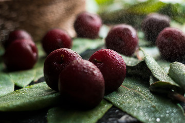 berries on a natural background and rain
