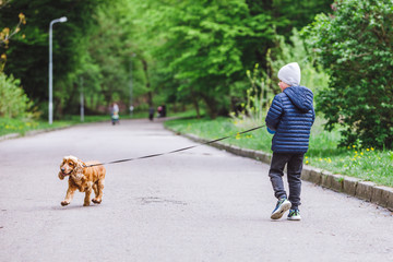 little kid with small brown dog running in city park