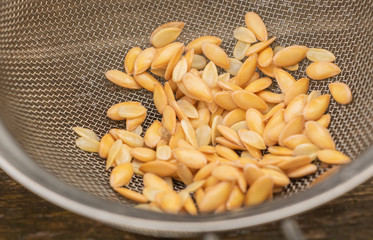 Melon seeds ready for planting in spring