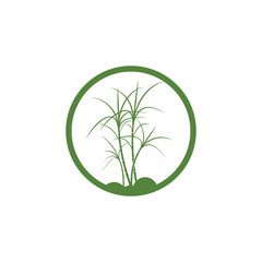 Sugar cane Logo Template vector symbol
