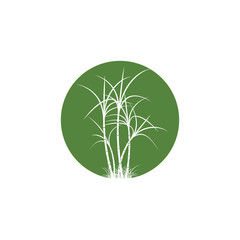 Sugar cane Logo Template vector symbol
