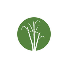 Sugar cane Logo Template vector symbol
