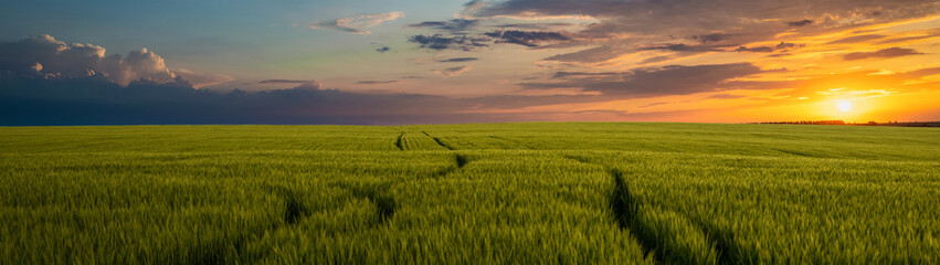 Obraz na płótnie Canvas Sunset over a green field beautiful summer landscape web banner panoramic