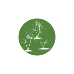 Fototapeta premium Sugar cane Logo Template vector symbol