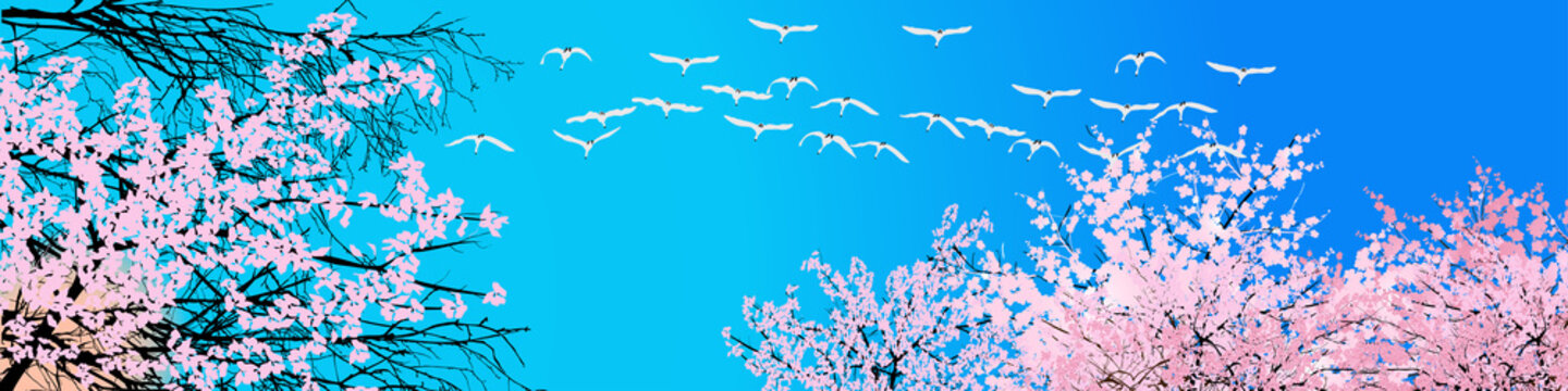 swans and blossoming trees crowns on blue sky background