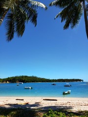 tropical beach with palm trees