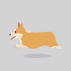 Obraz premium Corgi dog vector cartoon illustration. Cute friendly welsh corgi puppy, isolated on grey. Pets, animals, canine theme design element in contemporary simple flat style
