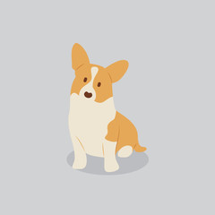 Corgi dog vector cartoon illustration. Cute friendly welsh corgi puppy, isolated on grey. Pets, animals, canine theme design element in contemporary simple flat style