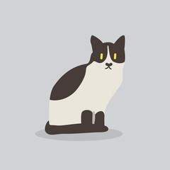 cat vector cartoon illustration. Cute friendly welsh cat, isolated on grey. Pets, animals, cat theme design element in contemporary simple flat style