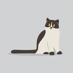 cat vector cartoon illustration. Cute friendly welsh cat, isolated on grey. Pets, animals, cat theme design element in contemporary simple flat style