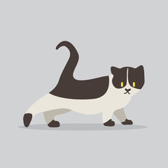 cat vector cartoon illustration. Cute friendly welsh cat, isolated on grey. Pets, animals, cat theme design element in contemporary simple flat style