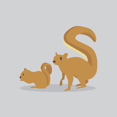 squirrel vector cartoon illustration. Cute friendly squirrel, isolated on grey. Pets, animals, squirrel theme design element in contemporary simple flat style