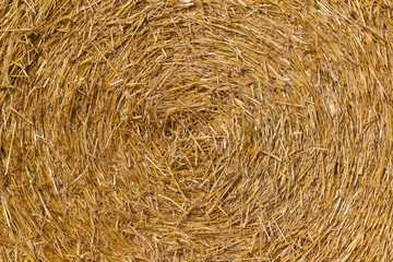 Straw in a round bale