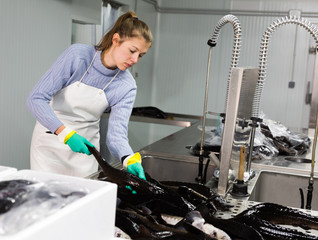 Woman preparing fish for packaging