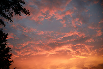 Fototapeta premium Clouds