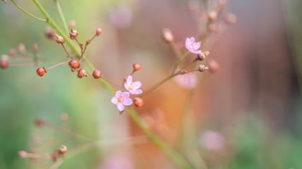 Detailed up-close photo of a tropical colourful coloured flower creates an interesting abstract effect.