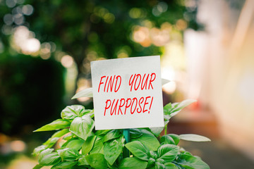 Writing note showing Find Your Purpose. Business concept for reason for something is done or for...