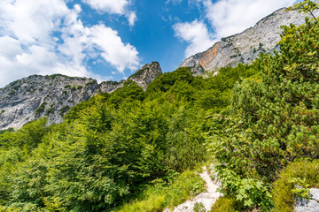 Salzburg high throne in the Berchtesgadener Land
