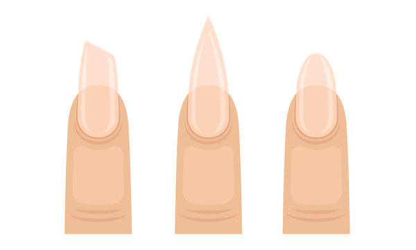 Nails of Different Shapes with Glossy Colorless Varnish Vector Set