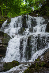 Fototapeta premium Waterfall Shypit, Ukraine
