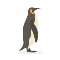 Cartoon penguin. Cute Cartoon penguin, Vector illustration on a white background. Drawing for children.