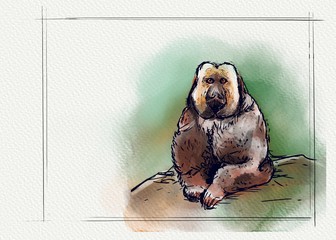 Watercolor illustration of a monkey
