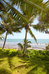 Obraz na płótnie Canvas Tropical landscape with palm trees and the sea.