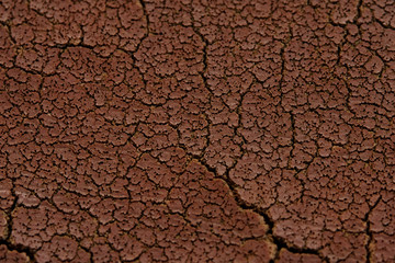Abstract macro photography – brown soil crack texture