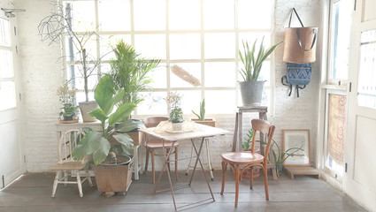 Indoor garden plant .natural interior decoration living room in retro style 