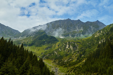 Majestic landscape of summer mountains. View of rocky peaks and coniferous forest hills in fog. Fagaras Mountains.Transylvania. Romania. Wild nature relaxing background.