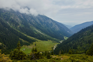 Majestic landscape of summer mountains. View of rocky peaks and coniferous forest hills in fog. Fagaras Mountains.Transylvania. Romania. Wild nature relaxing background.